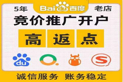 网络推广策略：竞价广告的实践案例